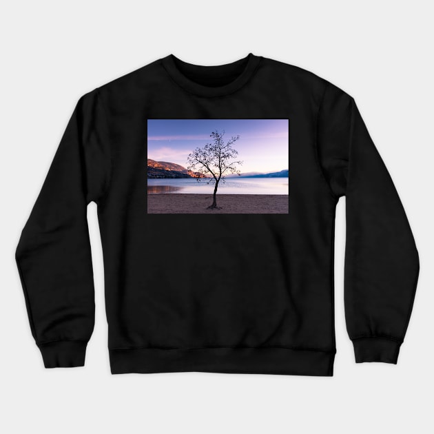 Tree Silhouette at Sunset Crewneck Sweatshirt by Amy-K-Mitchell